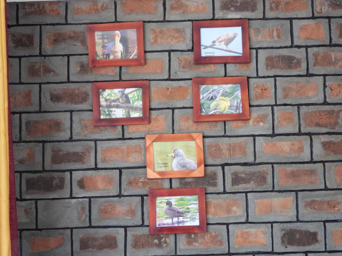 Plastic Bottles House Entebbe Exterior photo