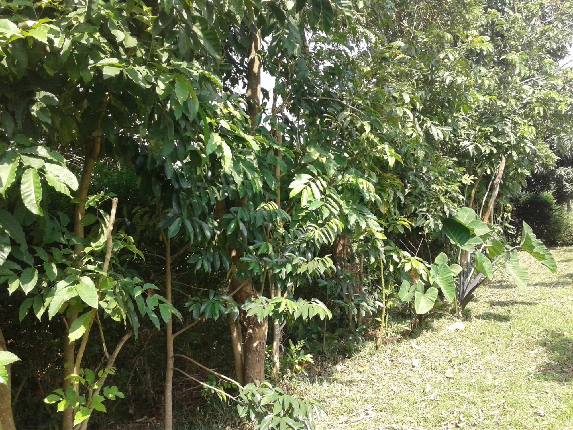 Plastic Bottles House Entebbe Exterior photo